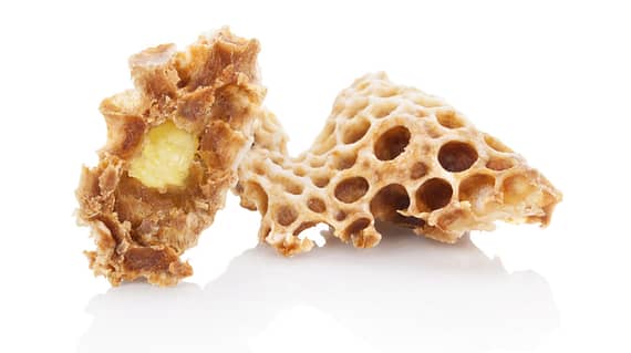 Royal jelly in honeycomb isolated on white background. Beauty and antiaging concept. Organic and natural cosmetics.