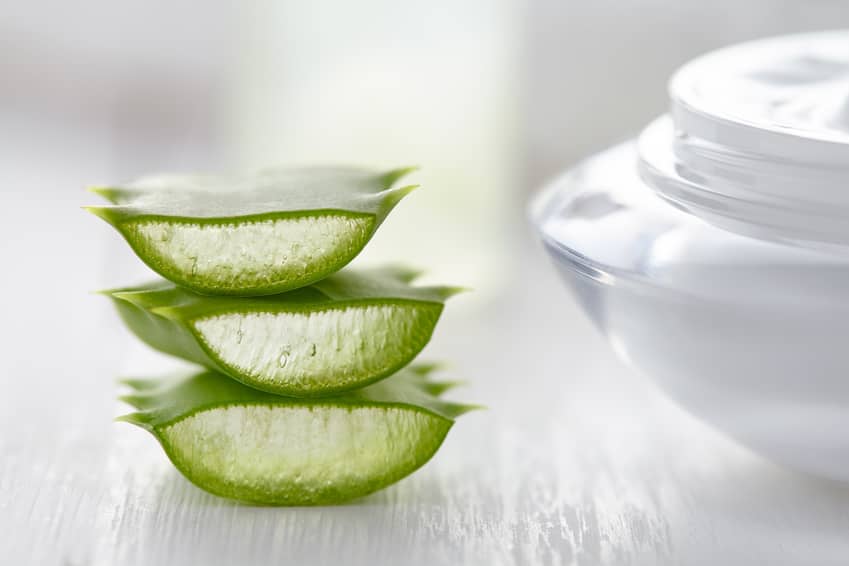 Aloe vera herbal slices healthy natural cosmetic dermatology medicine anti wrinkle product with cream on white background